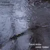 Георгий Музыкантов - Тише воды ниже травы (Live)